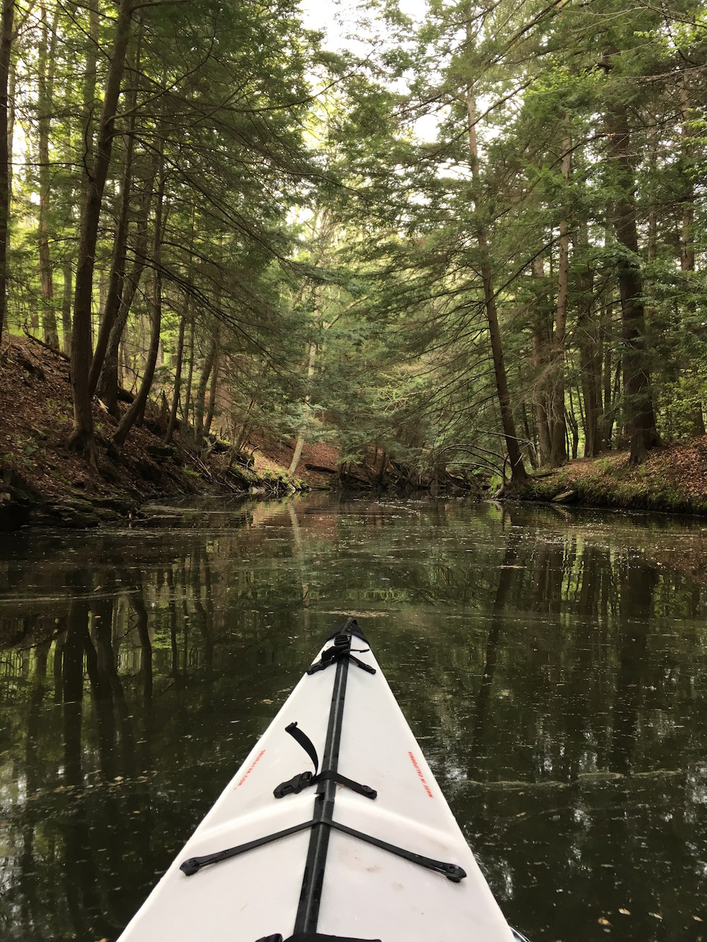 A peaceful paddle in Lackawanna State Park