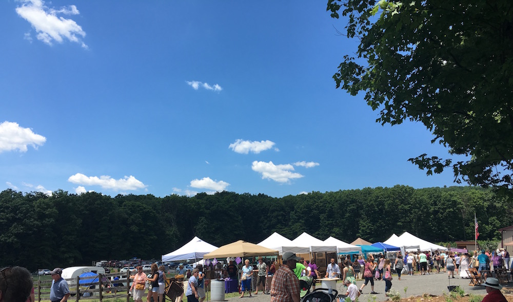 Lavender festival