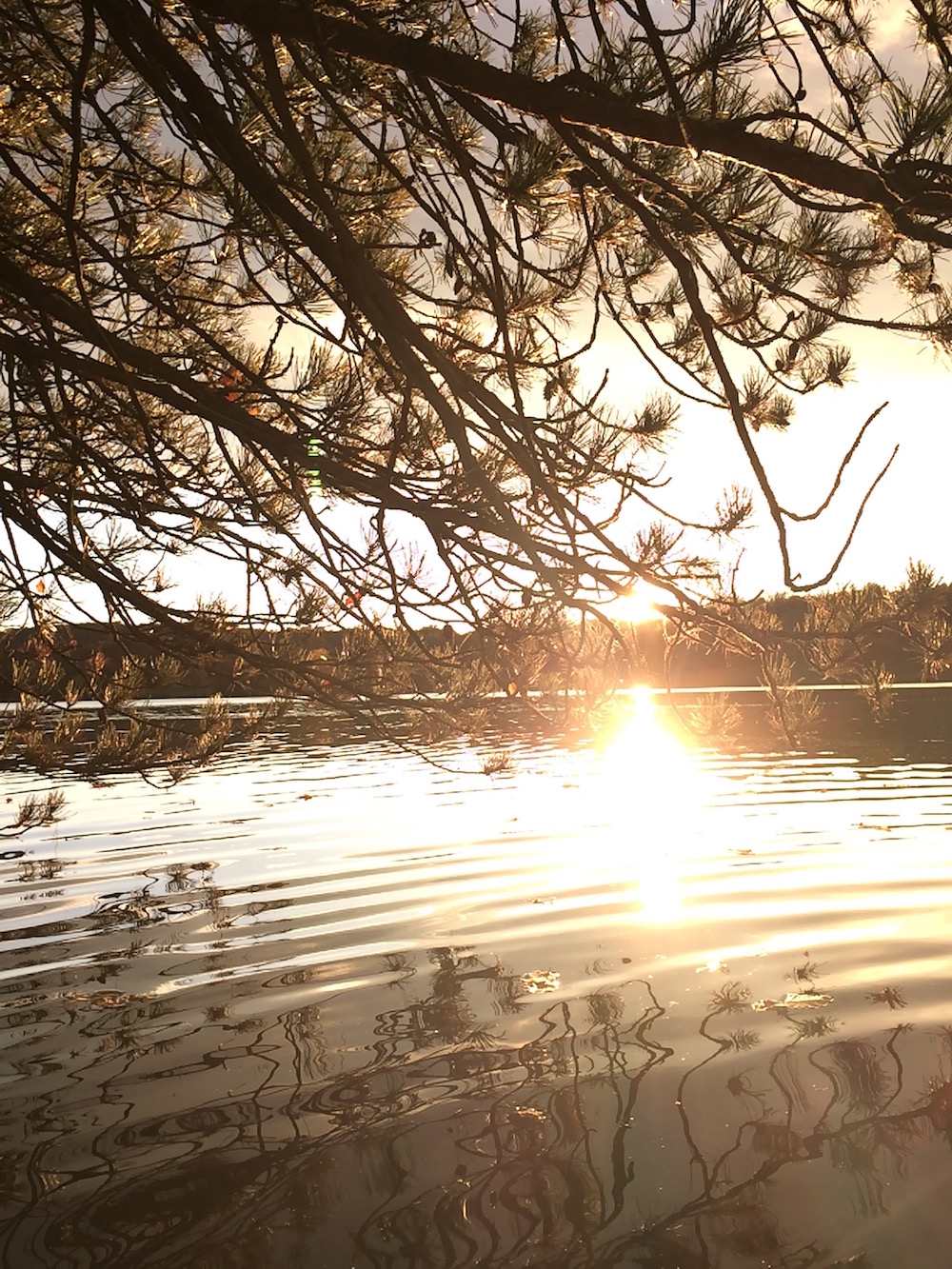 Sunset over Lackawanna State Park