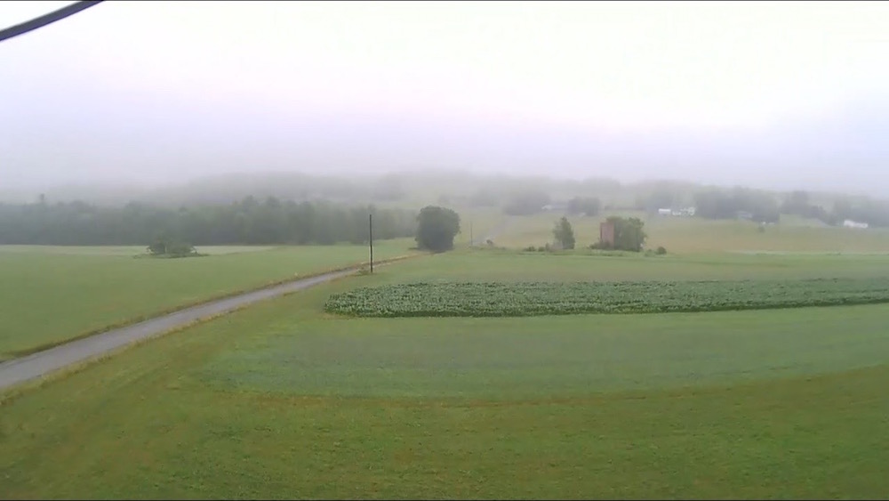 corn field