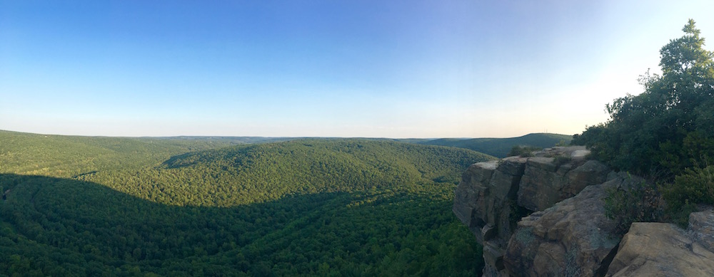 Dunmore Pine Barrens panorama