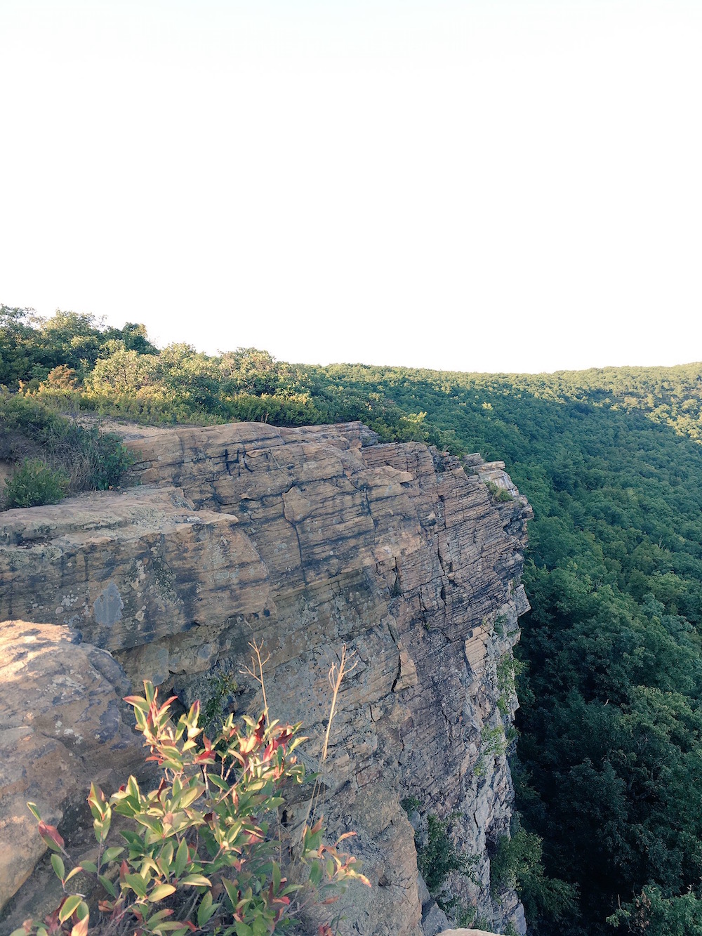 cliff at pine barrens in dunmore