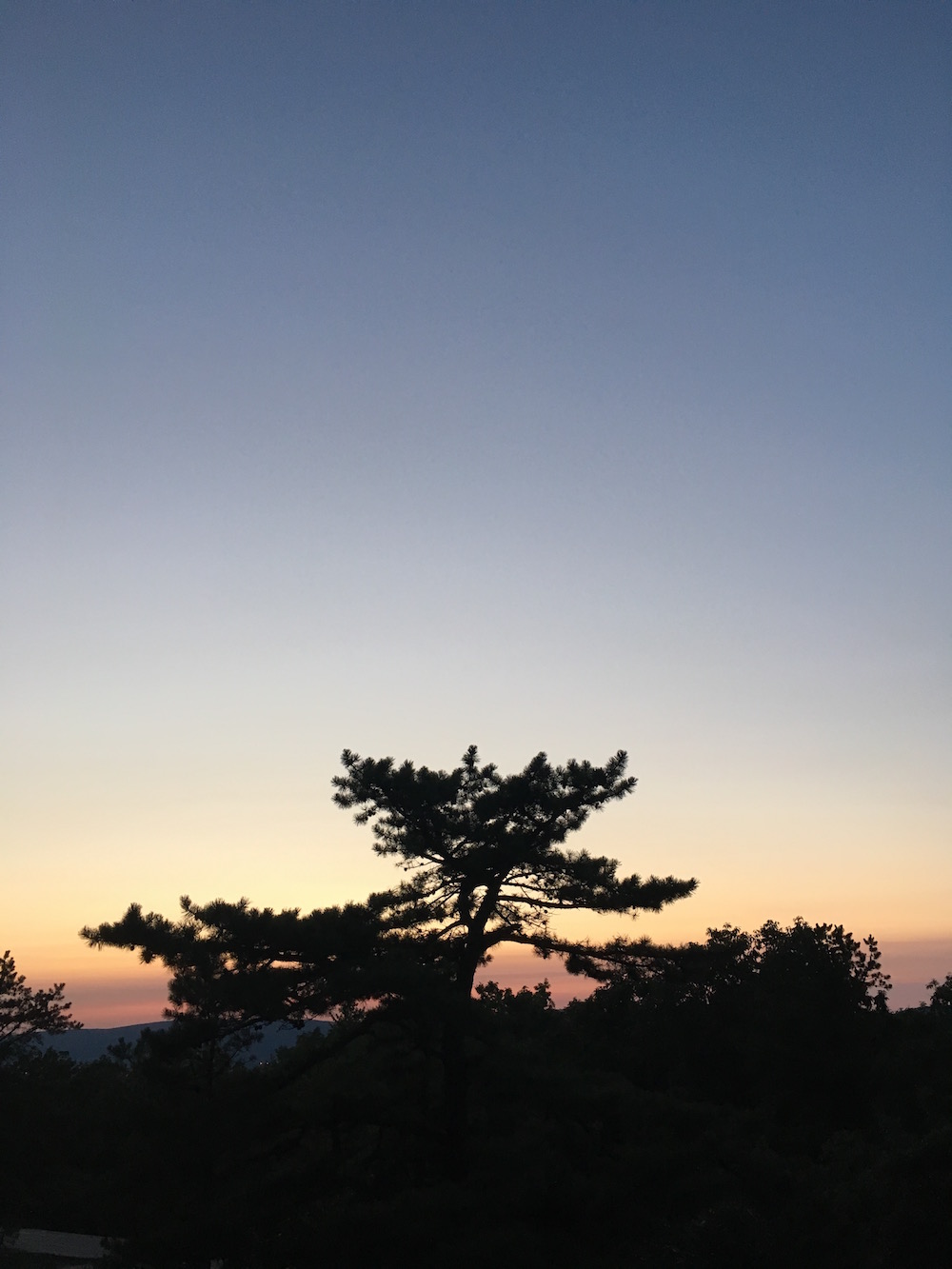 sunset from dunmore pine barrens