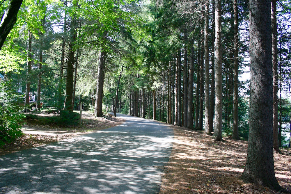 Exploring Conservation Island in Promised Land State Park Colin Devroe