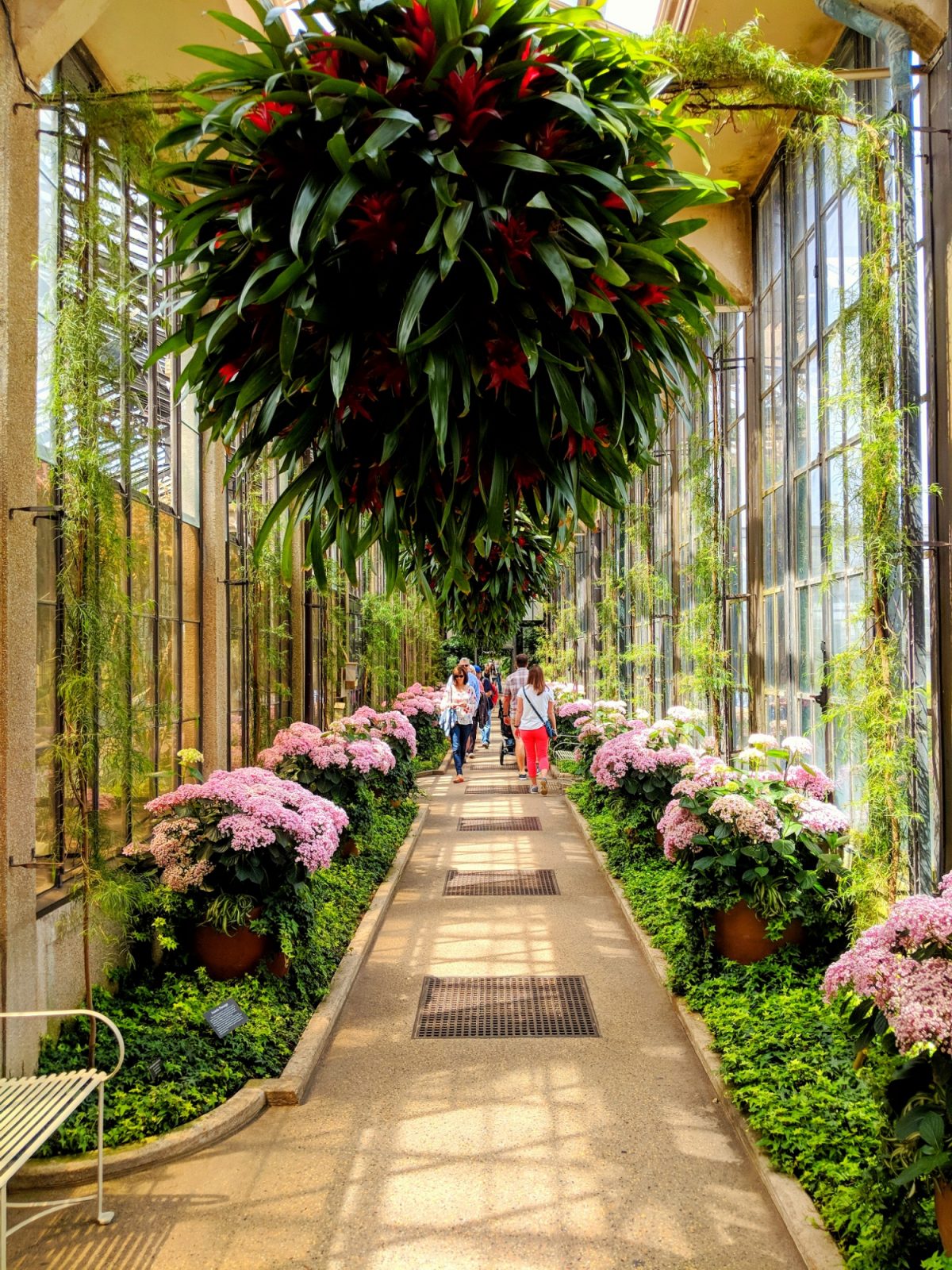 People of Longwood Gardens – May 2018 – Colin Devroe