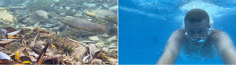 Two images: Left, 3 trout in a creek. Right, me underwater in a pool.