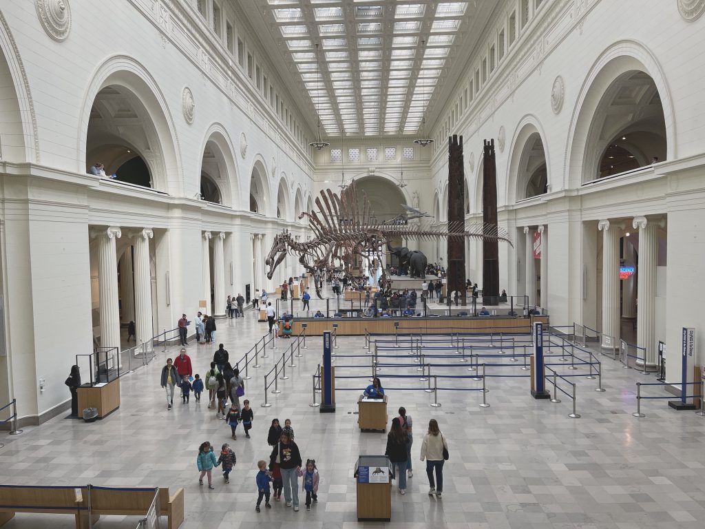 The large inner atrium of The Field Museum with dinosaur skeletons hanging from the ceiling