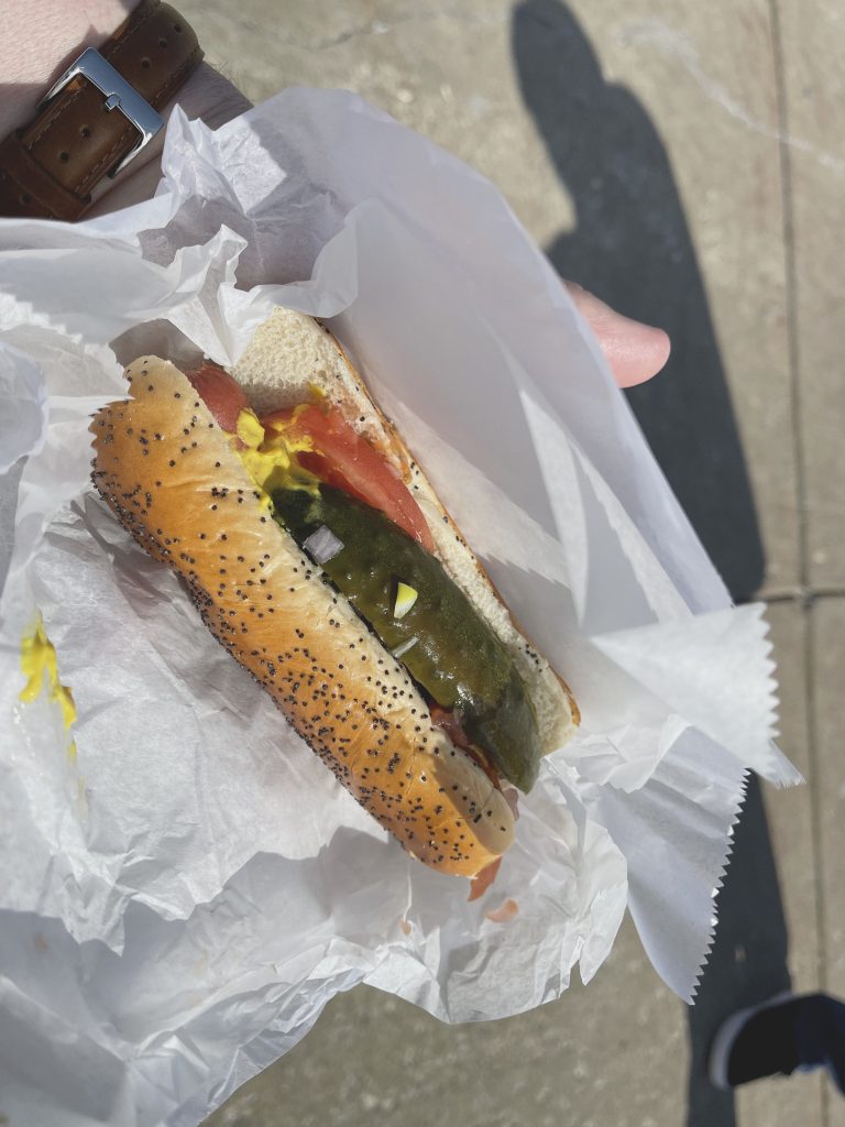 Chicago style hotdog