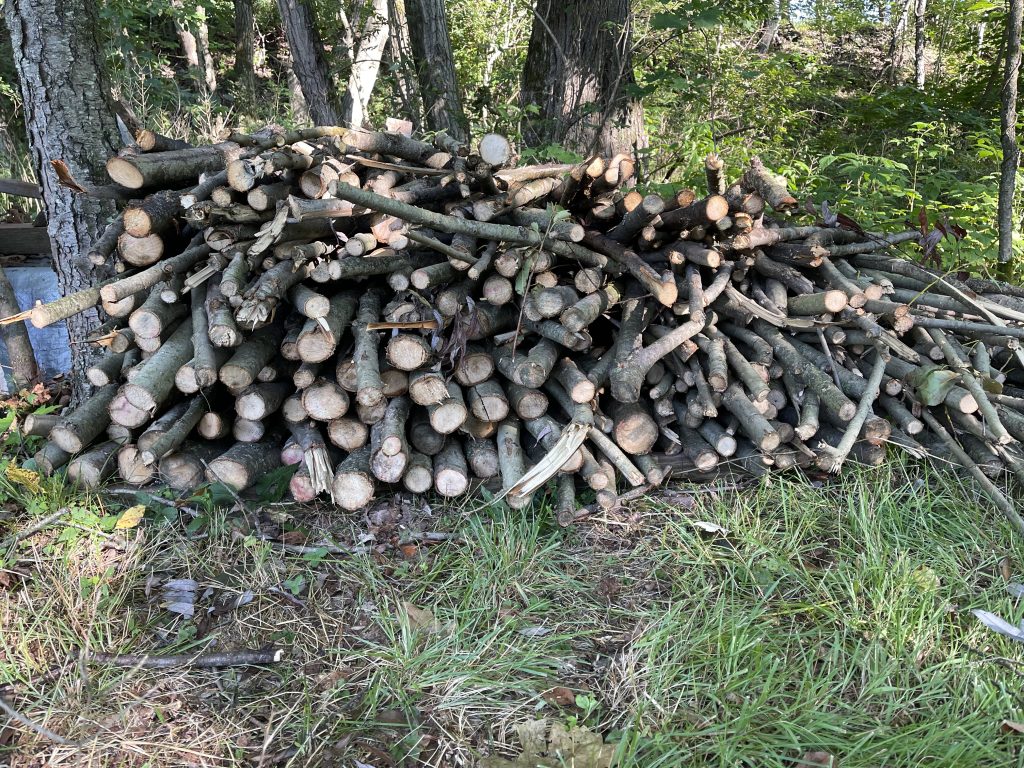 A pile of willow branches.