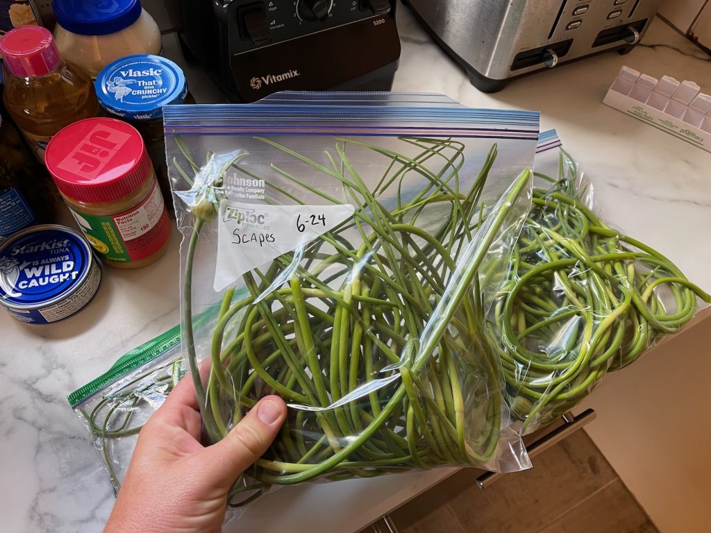 A large ziplock baggy of scapes.