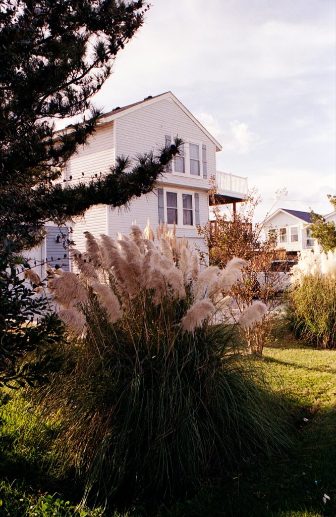 A two story home seen through some grasses and trees.