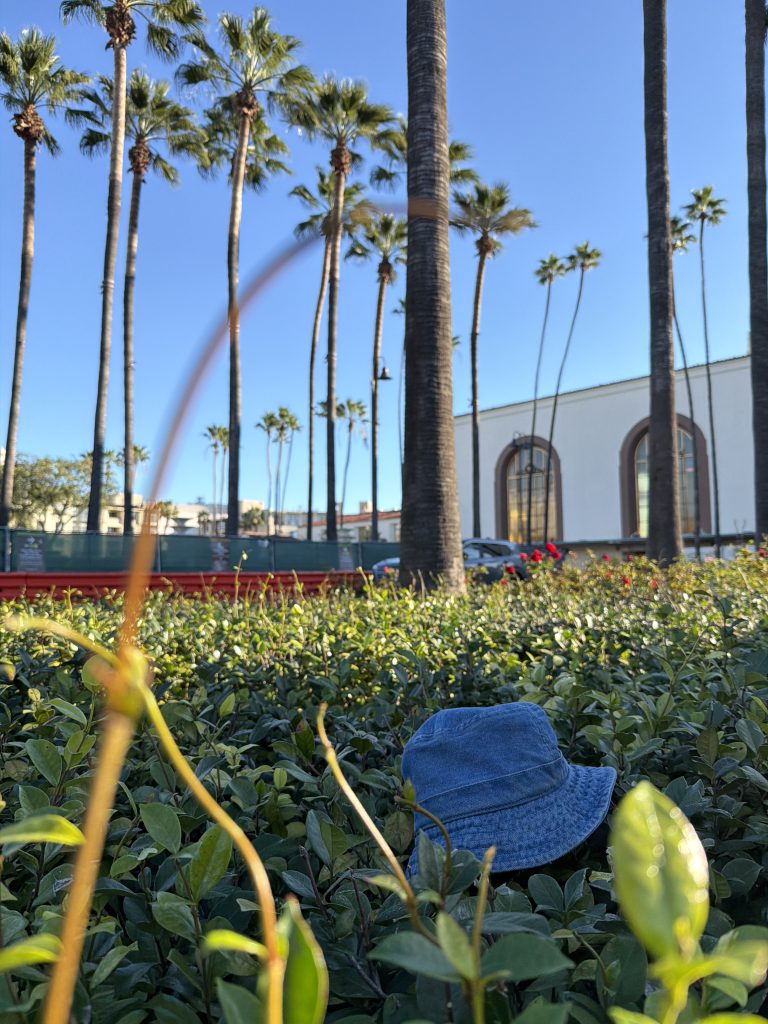 A hat below some palm trees.
