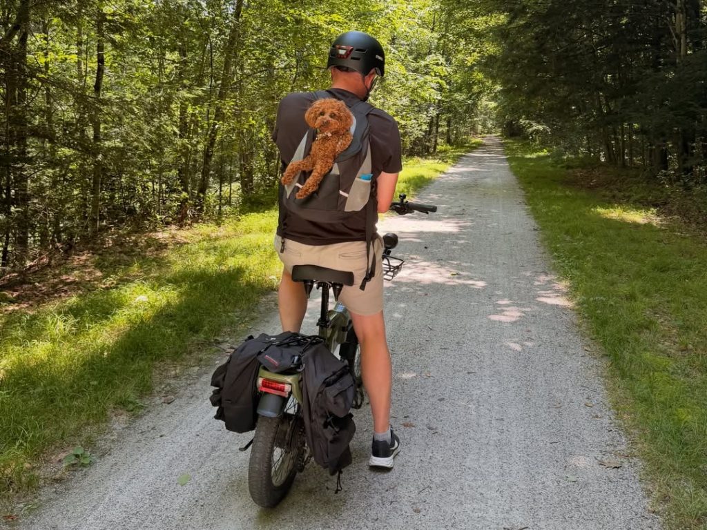 Kona (our toy poodle), on my back in a backpack, while I'm on an e-bike on a trail.